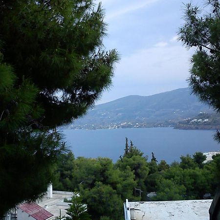 Mina Apartments Poros Town Dış mekan fotoğraf