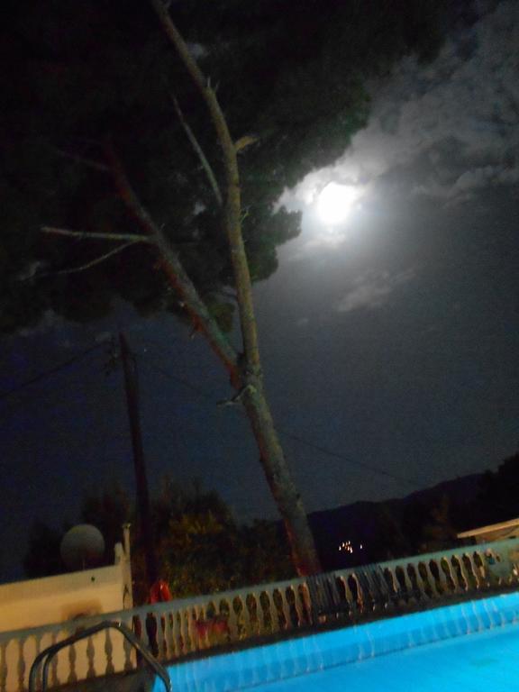 Mina Apartments Poros Town Dış mekan fotoğraf
