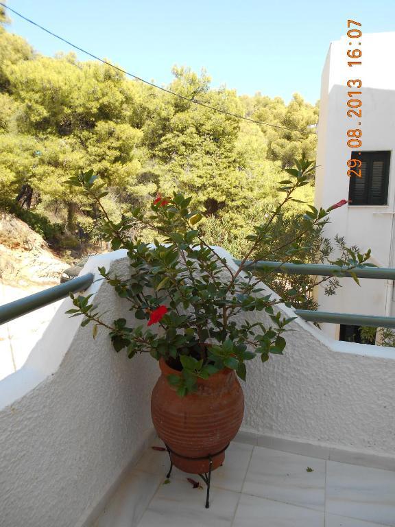 Mina Apartments Poros Town Dış mekan fotoğraf